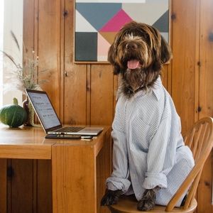 Meet your Posher, Josh